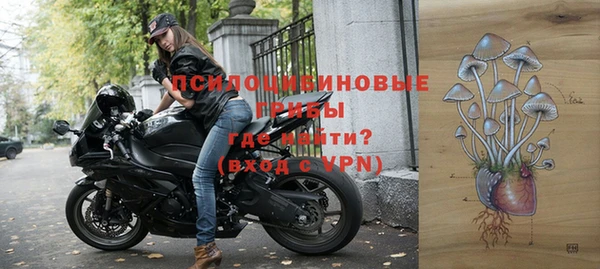 амф Абаза