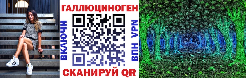 Галлюциногенные грибы Psilocybe  Хилок 
