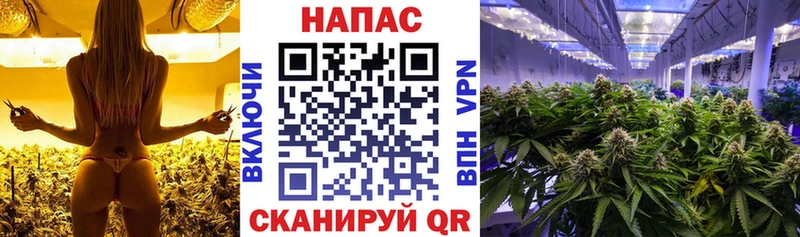 Канабис Bruce Banner  KRAKEN ссылка  Хилок 
